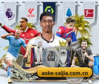 aoke-saijia.com.cn APP