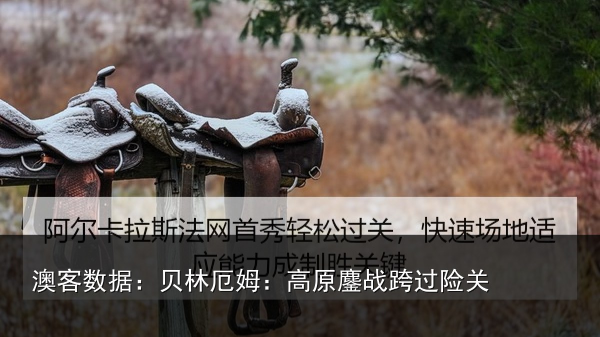 澳客数据：贝林厄姆：高原鏖战跨过险关