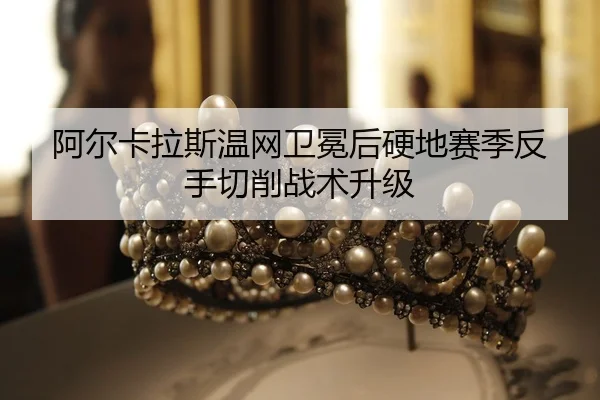 a-er-ka-la-si-wen-wang-wei-mian-hou-ying-di-sai-ji-fan-shou-qie-xiao-zhan-shu-sheng-ji-2-650.jpg