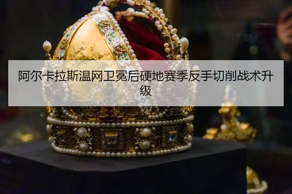 a-er-ka-la-si-wen-wang-wei-mian-hou-ying-di-sai-ji-fan-shou-qie-xiao-zhan-shu-sheng-ji-3-517.jpg
