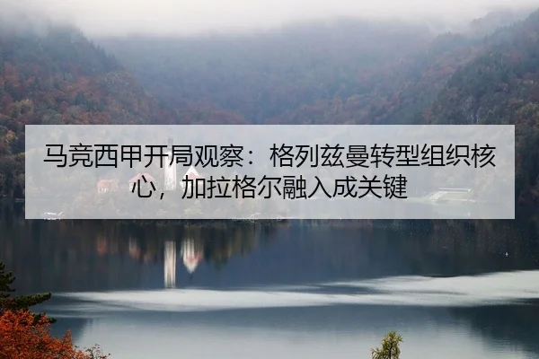 ma-jing-xi-jia-kai-ju-guan-cha-ge-lie-zi-man-zhuan-xing-zu-zhi-he-xin-jia-la-ge-er-rong-ru-cheng-guan-jian-2-924.jpg