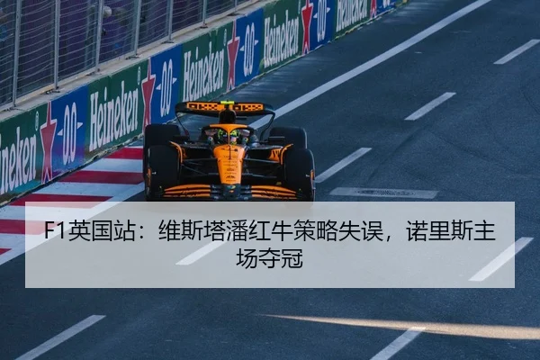 ying-guo-zhan-wei-si-ta-pan-hong-niu-ce-lve-shi-wu-nuo-li-si-zhu-chang-duo-guan-3-368.jpg
