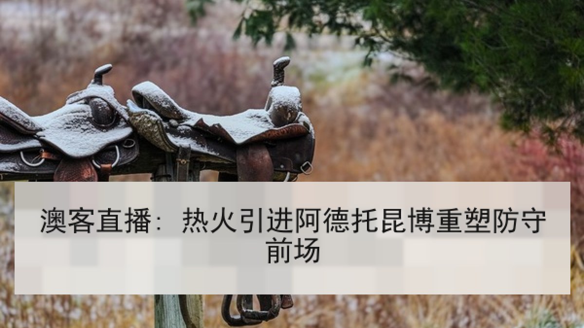 澳客直播: 热火引进阿德托昆博重塑防守前场