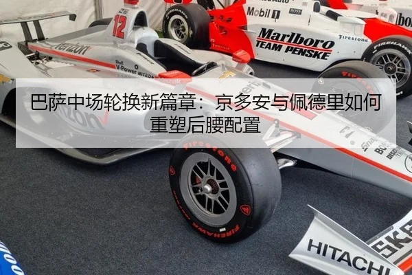 ba-sa-zhong-chang-lun-huan-xin-pian-zhang-jing-duo-an-yu-pei-de-li-ru-he-zhong-su-hou-yao-pei-zhi-2-131.jpg