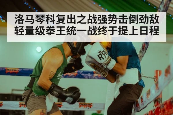 洛马琴科复出之战强势击倒劲敌 轻量级拳王统一战终于提上日程