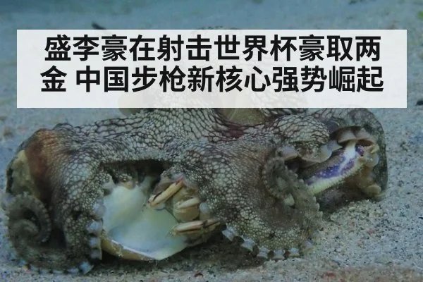 盛李豪在射击世界杯豪取两金 中国步枪新核心强势崛起